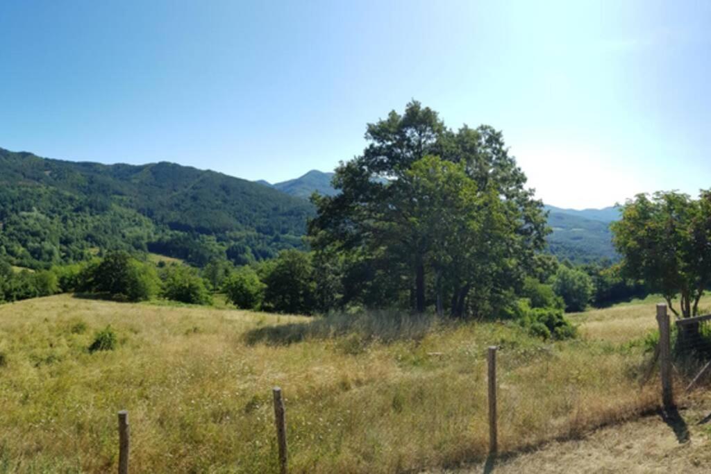 La Sala Vecchia - Lovely Tuscan Holiday House Badia Prataglia, Casentino Valley 丘西-德拉弗娜 外观 照片