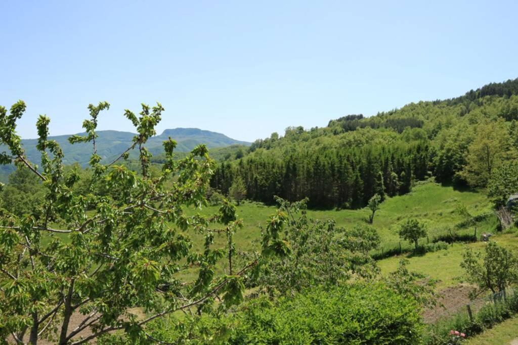 La Sala Vecchia - Lovely Tuscan Holiday House Badia Prataglia, Casentino Valley 丘西-德拉弗娜 外观 照片