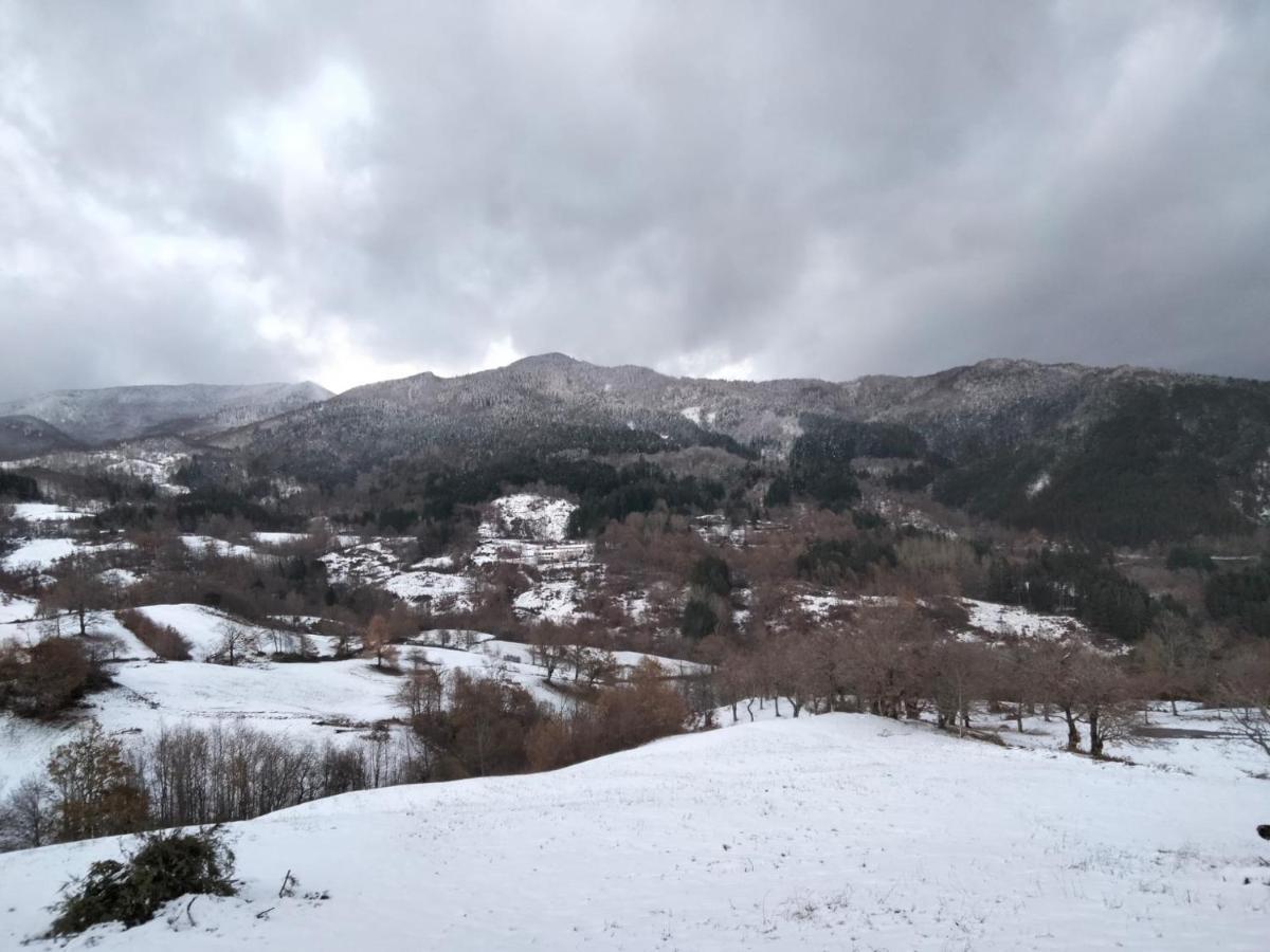 La Sala Vecchia - Lovely Tuscan Holiday House Badia Prataglia, Casentino Valley 丘西-德拉弗娜 外观 照片