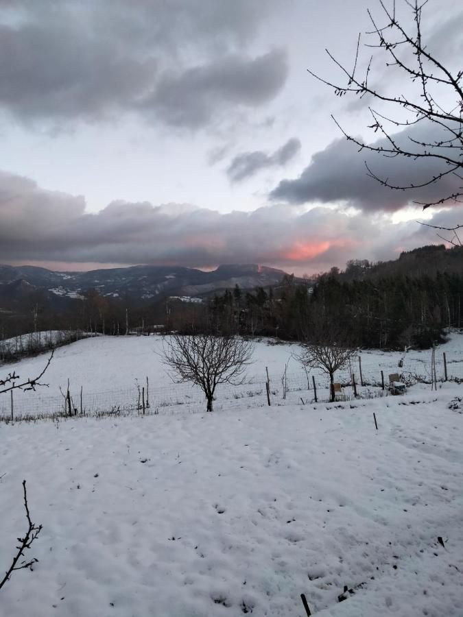 La Sala Vecchia - Lovely Tuscan Holiday House Badia Prataglia, Casentino Valley 丘西-德拉弗娜 外观 照片
