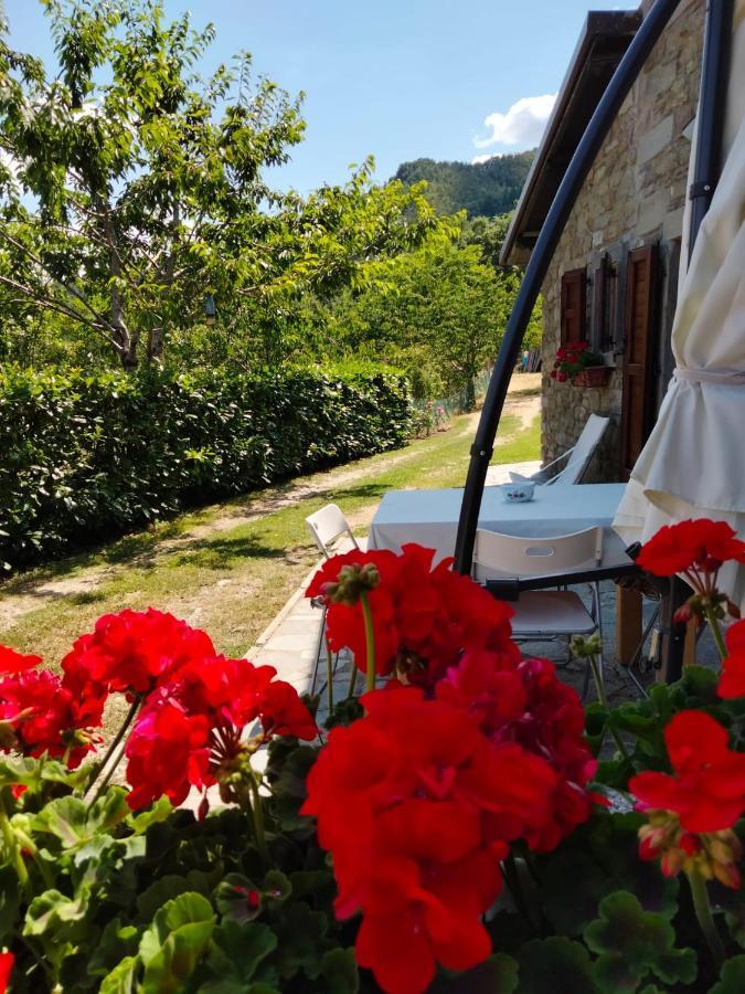La Sala Vecchia - Lovely Tuscan Holiday House Badia Prataglia, Casentino Valley 丘西-德拉弗娜 外观 照片