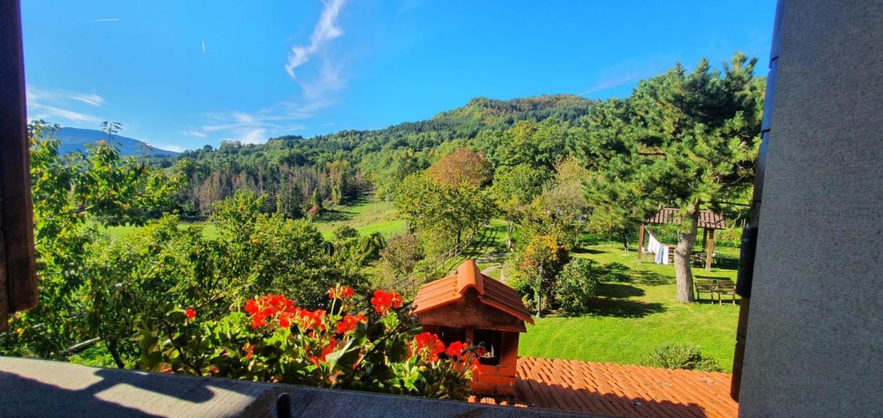 La Sala Vecchia - Lovely Tuscan Holiday House Badia Prataglia, Casentino Valley 丘西-德拉弗娜 外观 照片