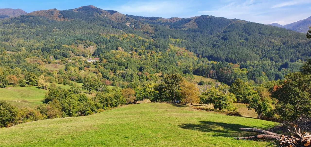 La Sala Vecchia - Lovely Tuscan Holiday House Badia Prataglia, Casentino Valley 丘西-德拉弗娜 外观 照片